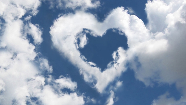 室内成人健身操减肥操